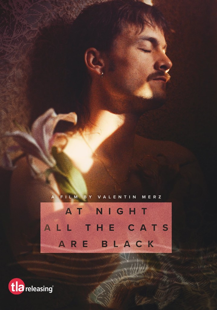 At Night All the Cats Are Black