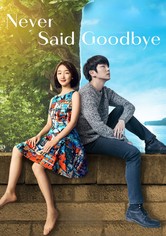 Never Said Goodbye
