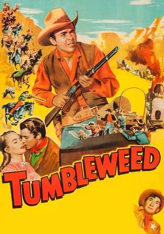 A Ronda da Vingança