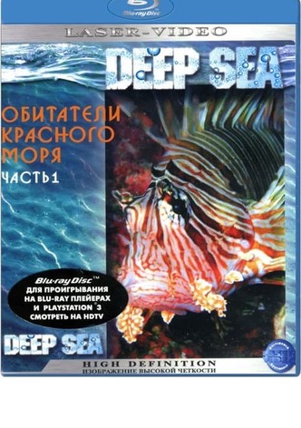 Обитатели Красного моря. Часть 1