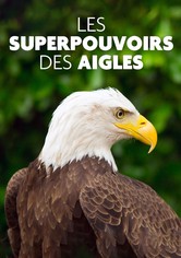 Adler - Kraftprotze mit Durchblick