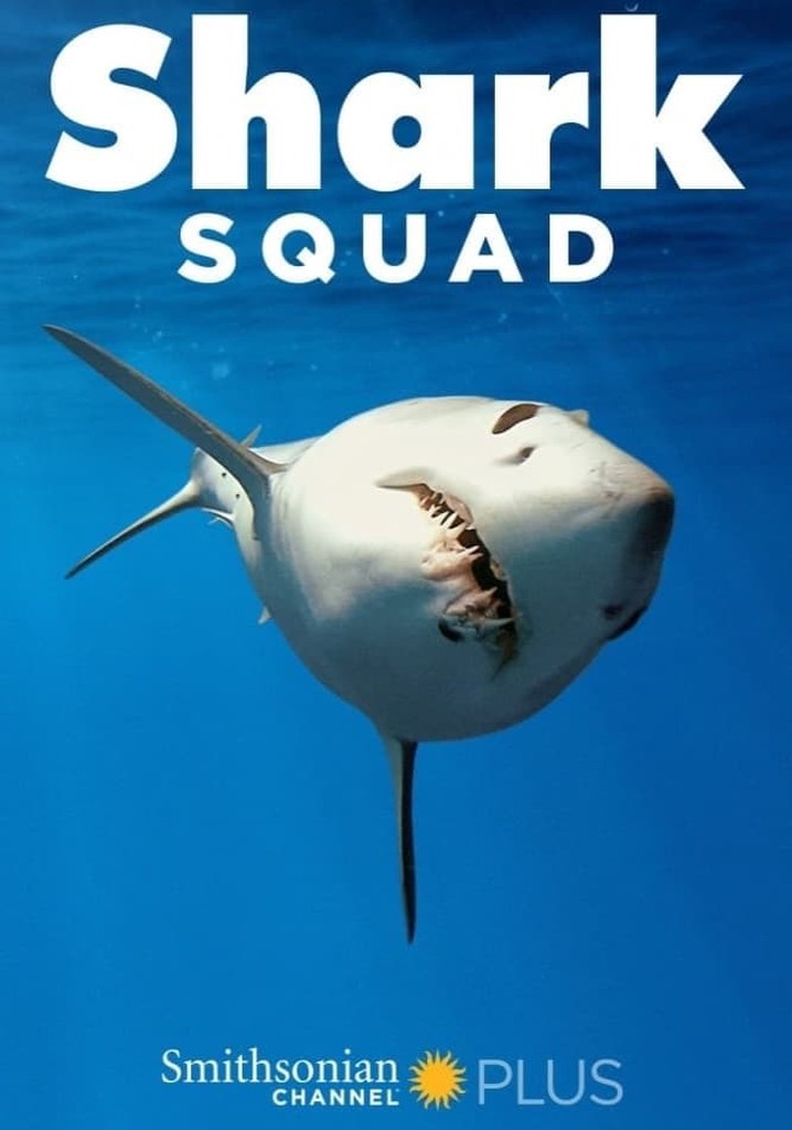 Shark Squad - watch tv show stream online