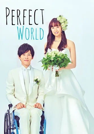 Perfect World poster
