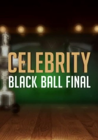 Celebrity Black Ball Final with Steve Davis