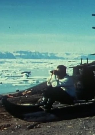 Ice Bank in Summer