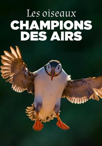 Les oiseaux