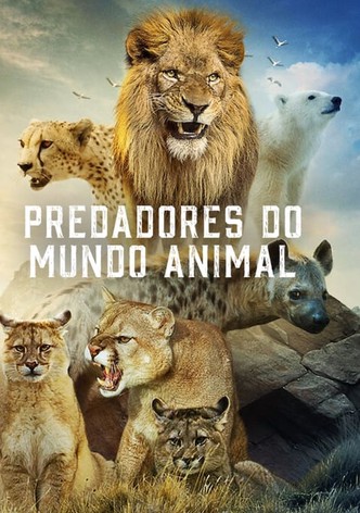 Predadores do Mundo Animal