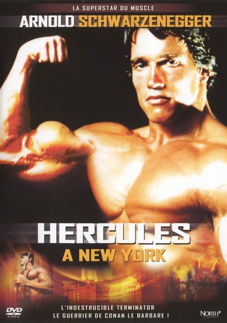 Hercule à New York