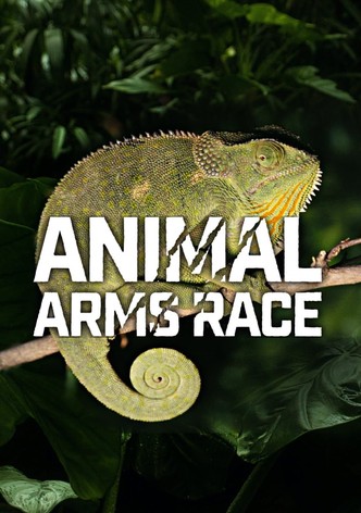 Animal Arms Race