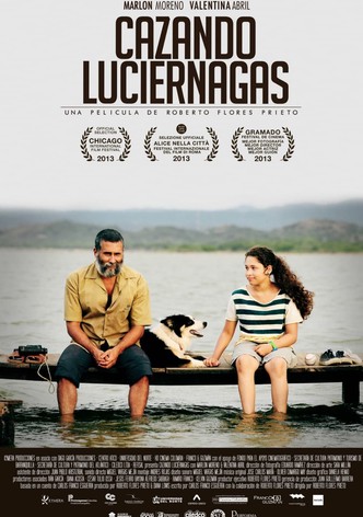 Cazando luciérnagas