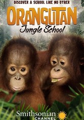 Orangutan Jungle School