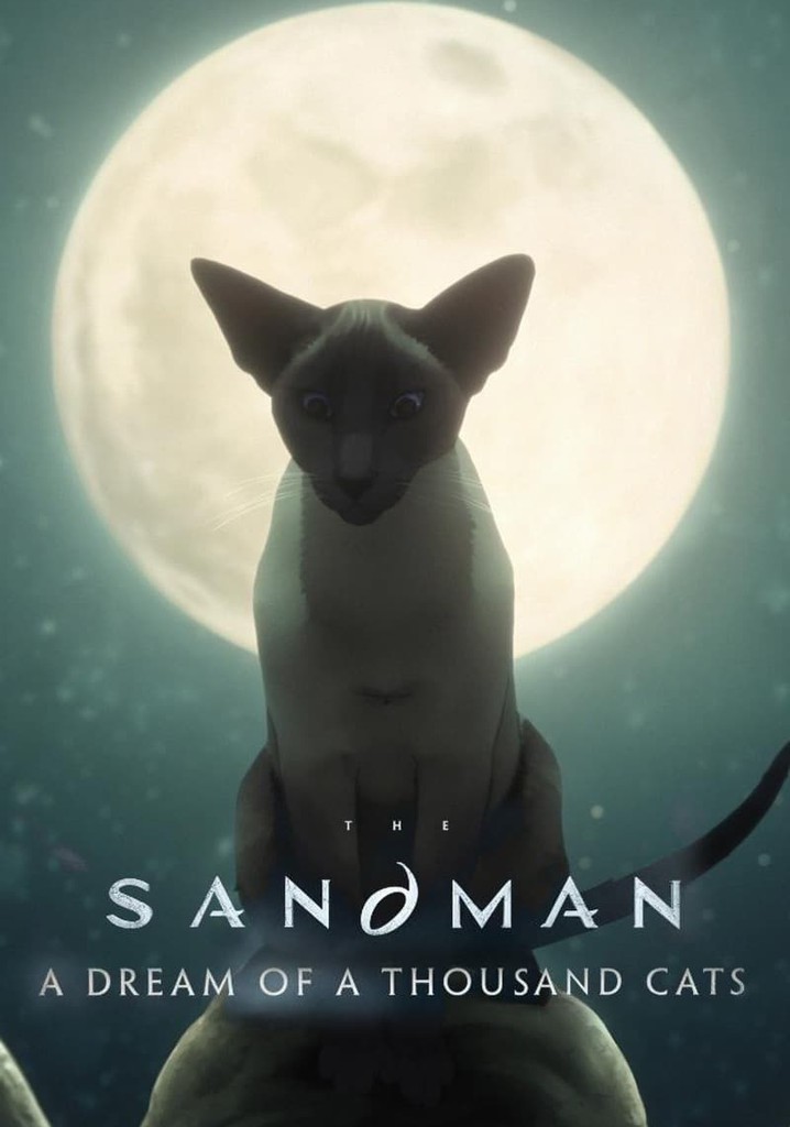 The Sandman: A Dream of a Thousand Cats