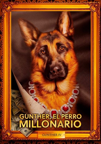 Gunther, el perro millonario