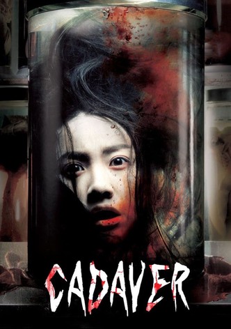 Cadaver