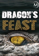 Dragon's Feast 3D