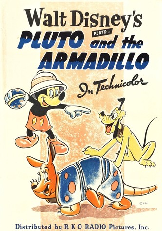 Pluto and the Armadillo