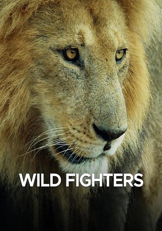 Wild fighters - Nati per combattere