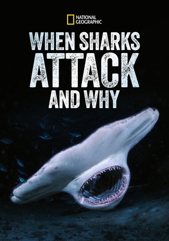 When Sharks Attack... and Why