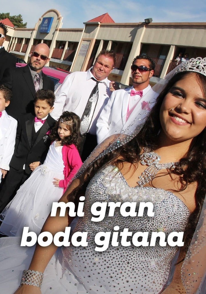 Mi gran best sale boda gitana vestidos