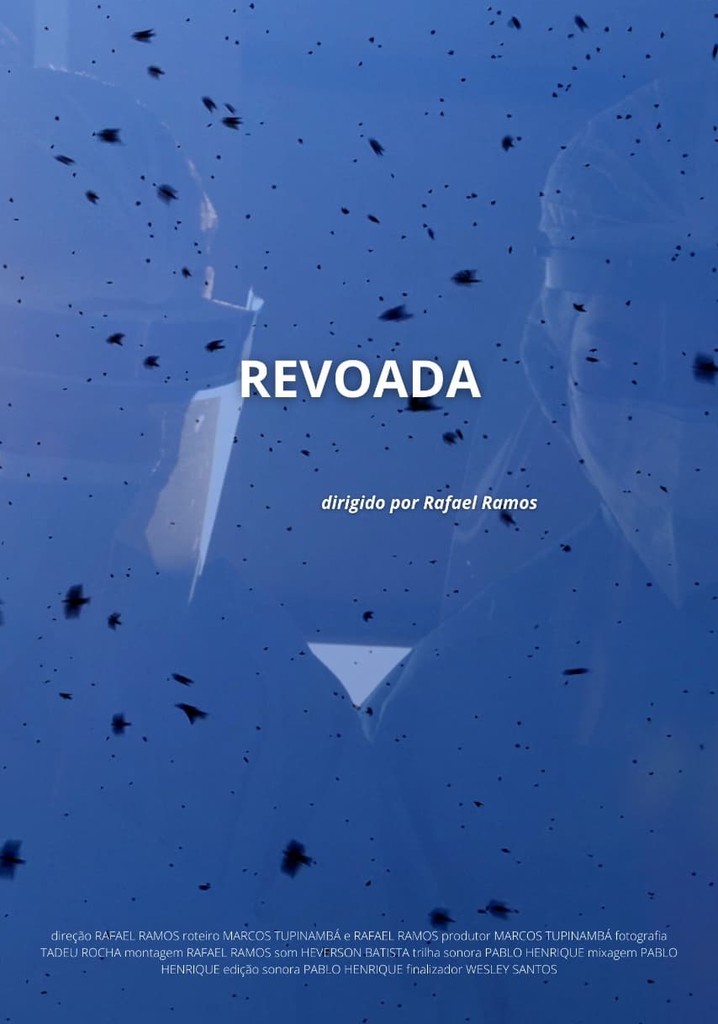 Revoada