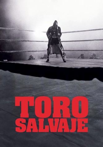 Toro salvaje