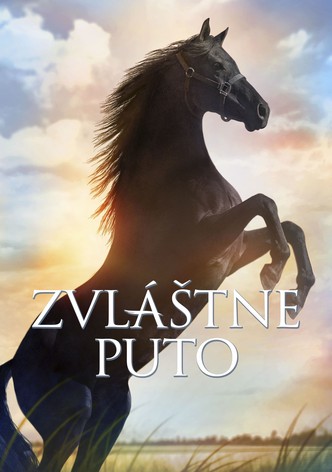 Zvláštne puto