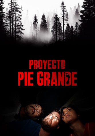 Proyecto Pie Grande