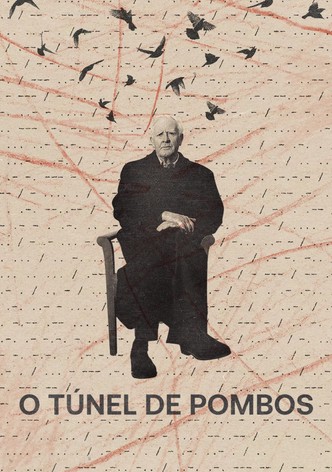 O Túnel de Pombos
