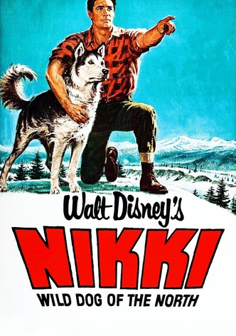 Nikki, Wild Dog of the North