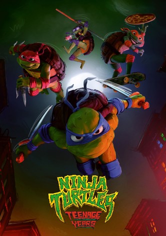 Ninja Turtles : Teenage Years