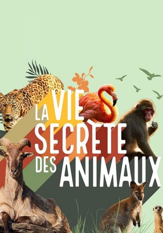 La vie secrète des animaux