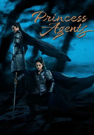 Princess Agents poster