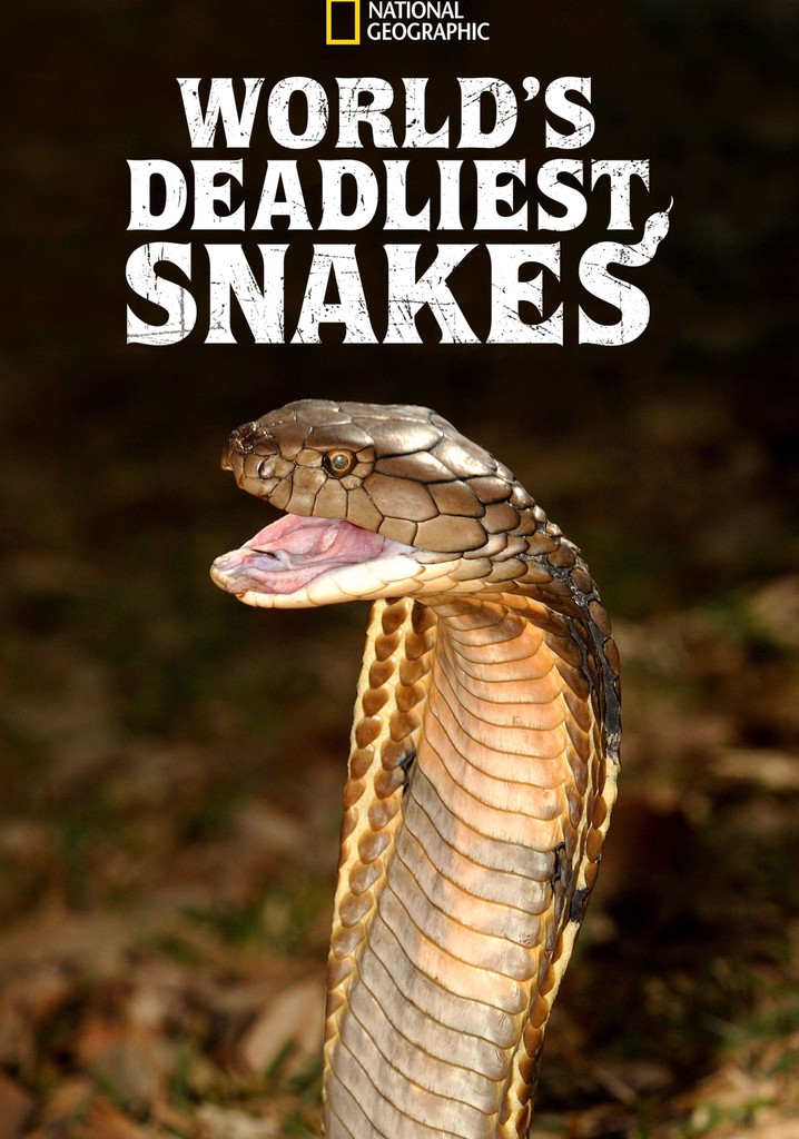 World's Deadliest Snakes - streaming online