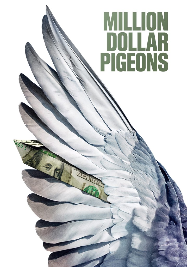 Million Dollar Pigeons