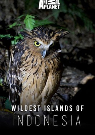 Wildest Islands Of Indonesia - Season 1