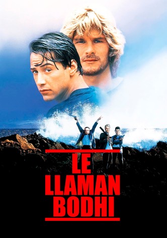 Le llaman Bodhi