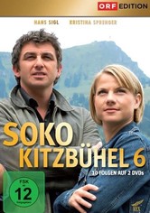 Vraždy v Kitzbühelu - 6. sezóna