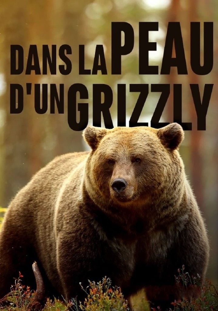 Regarder Dans La Peau Dun Grizzly Streaming