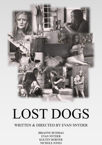 Lost Dogs
