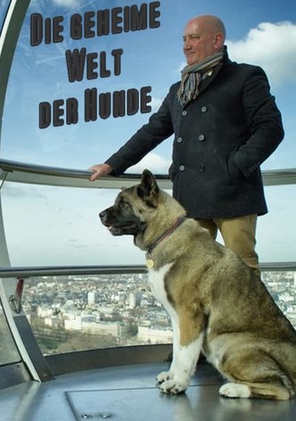 Die geheime Welt der Hunde