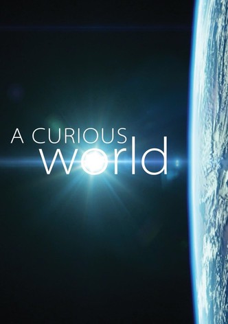 A Curious World