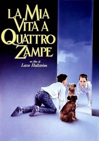 La mia vita a quattro zampe