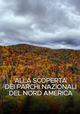 Alla scoperta dei parchi nazionali del Nord America