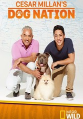Cesar Millan's Dog Nation