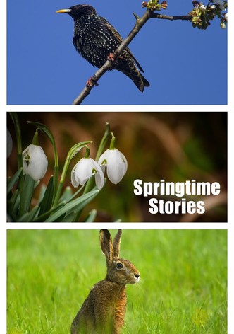 Springtime Stories
