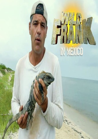 Wild Frank in Mexico