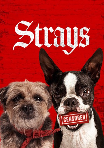 Strays