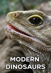 Nova Zelândia Selvagem