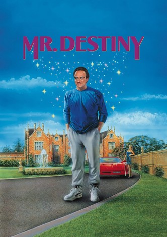 Mr. Destiny