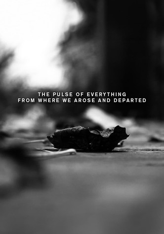 The pulse of everything from where we arose and departed